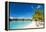 Beautiful Beach on Bora Bora Island in French Polynesia-BlueOrange Studio-Framed Premier Image Canvas