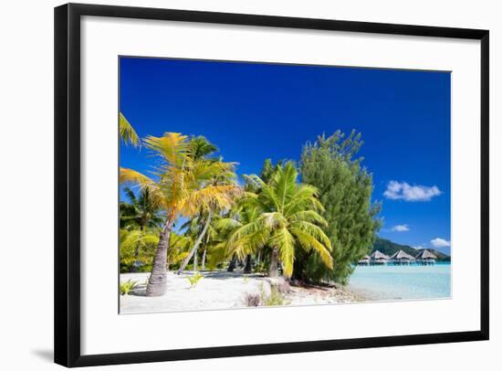 Beautiful Beach on Bora Bora Island in French Polynesia-BlueOrange Studio-Framed Photographic Print