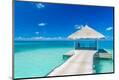 Premium Photographic Print