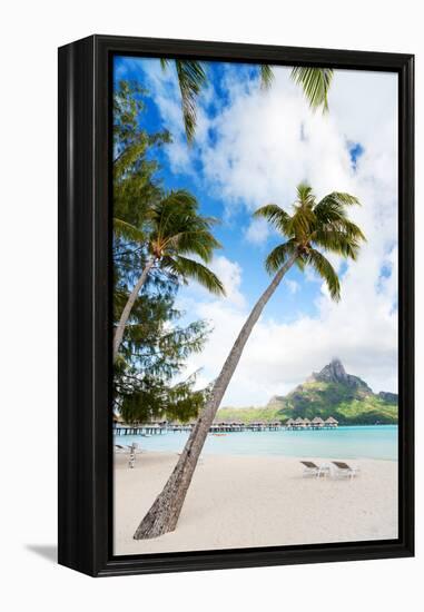 Beautiful Beach with Coconut Palms on Bora Bora Island in French Polynesia-BlueOrange Studio-Framed Premier Image Canvas