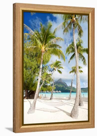 Beautiful Beach with Coconut Palms on Bora Bora Island in French Polynesia-BlueOrange Studio-Framed Premier Image Canvas