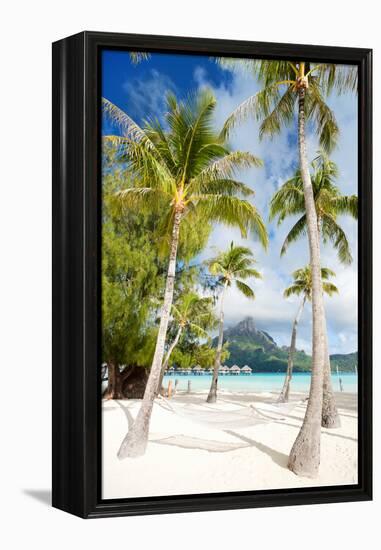 Beautiful Beach with Coconut Palms on Bora Bora Island in French Polynesia-BlueOrange Studio-Framed Premier Image Canvas