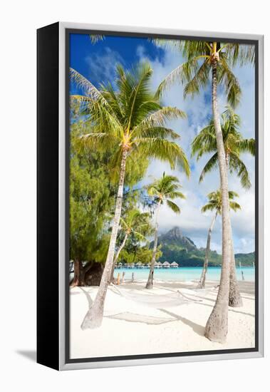 Beautiful Beach with Coconut Palms on Bora Bora Island in French Polynesia-BlueOrange Studio-Framed Premier Image Canvas