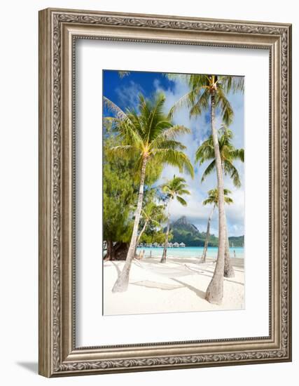 Beautiful Beach with Coconut Palms on Bora Bora Island in French Polynesia-BlueOrange Studio-Framed Photographic Print