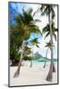 Beautiful Beach with Coconut Palms on Bora Bora Island in French Polynesia-BlueOrange Studio-Mounted Photographic Print