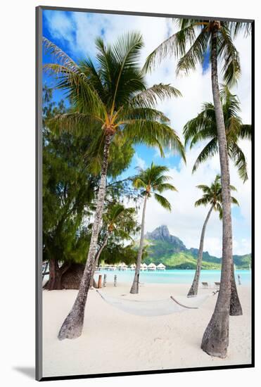 Beautiful Beach with Coconut Palms on Bora Bora Island in French Polynesia-BlueOrange Studio-Mounted Photographic Print