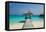 Beautiful Beach with Jetty at Maldives-haveseen-Framed Premier Image Canvas