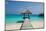 Beautiful Beach with Jetty at Maldives-haveseen-Mounted Photographic Print