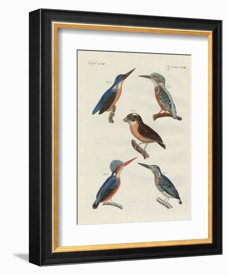 Beautiful Birds-null-Framed Giclee Print