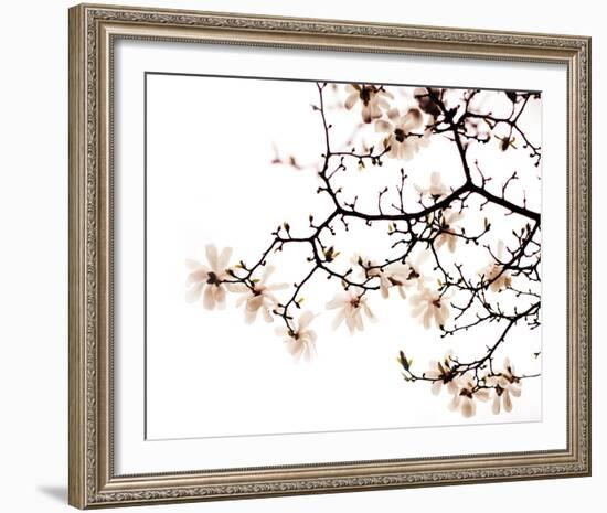 Beautiful Blossom-Irene Suchocki-Framed Giclee Print