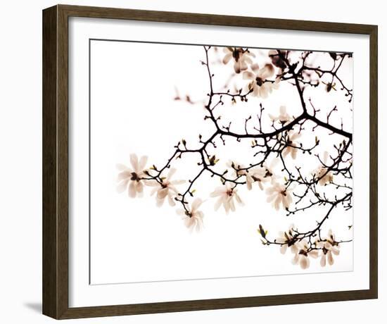 Beautiful Blossom-Irene Suchocki-Framed Giclee Print