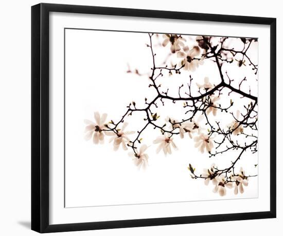 Beautiful Blossom-Irene Suchocki-Framed Giclee Print