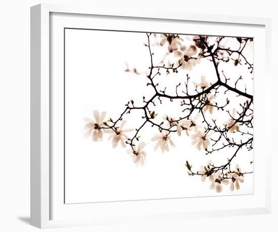 Beautiful Blossom-Irene Suchocki-Framed Giclee Print