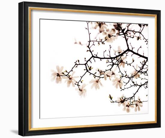 Beautiful Blossom-Irene Suchocki-Framed Giclee Print