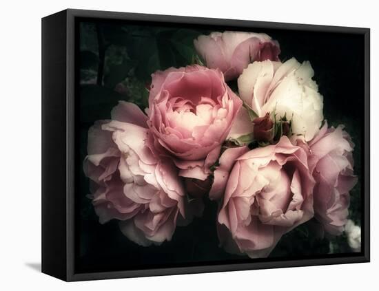 Beautiful Bouquet of Pink Rose Flowers on a Dark Background, Soft and Romantic Vintage Filter, Look-null-Framed Premier Image Canvas