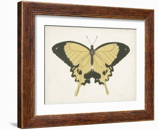 Beautiful Butterfly I-Vision Studio-Framed Art Print