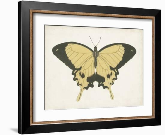 Beautiful Butterfly I-Vision Studio-Framed Art Print