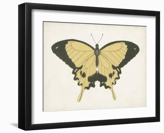 Beautiful Butterfly I-Vision Studio-Framed Art Print