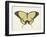 Beautiful Butterfly I-Vision Studio-Framed Art Print