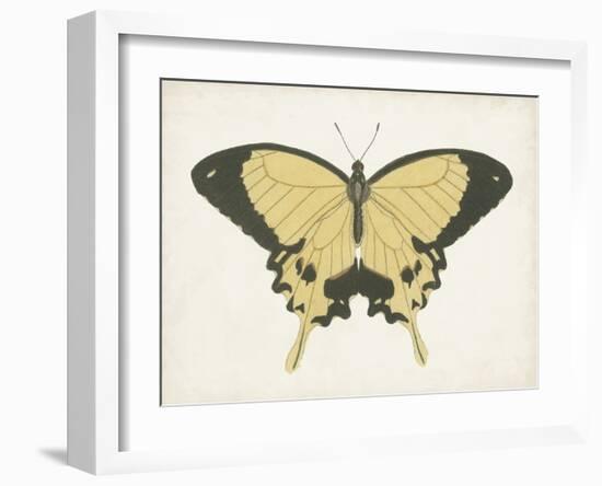 Beautiful Butterfly I-Vision Studio-Framed Art Print