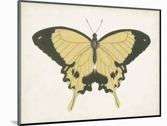 Beautiful Butterfly I-Vision Studio-Mounted Art Print