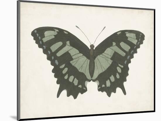 Beautiful Butterfly II-Vision Studio-Mounted Art Print