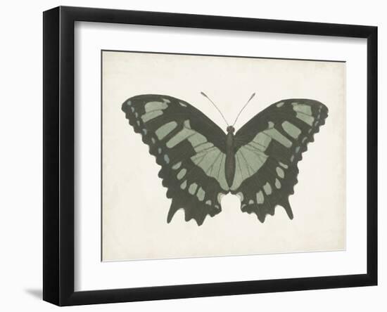 Beautiful Butterfly II-Vision Studio-Framed Art Print