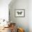 Beautiful Butterfly II-Vision Studio-Framed Art Print displayed on a wall
