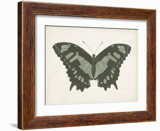 Beautiful Butterfly II-Vision Studio-Framed Art Print