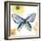 Beautiful Butterfly III Blue No Words-Sara Zieve Miller-Framed Art Print