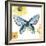 Beautiful Butterfly III Blue No Words-Sara Zieve Miller-Framed Art Print