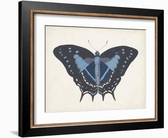 Beautiful Butterfly III-Vision Studio-Framed Art Print