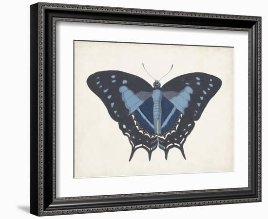 Beautiful Butterfly III-Vision Studio-Framed Art Print