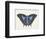 Beautiful Butterfly III-Vision Studio-Framed Art Print