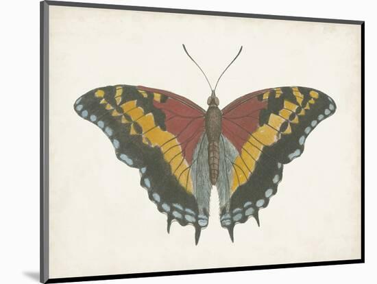 Beautiful Butterfly IV-Vision Studio-Mounted Art Print