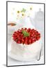 Beautiful Cake with Strawberries and Cream-legaa-Mounted Photographic Print