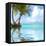 Beautiful Caribbean Beach in Dominican Republic. Reflection in Water.-haveseen-Framed Premier Image Canvas