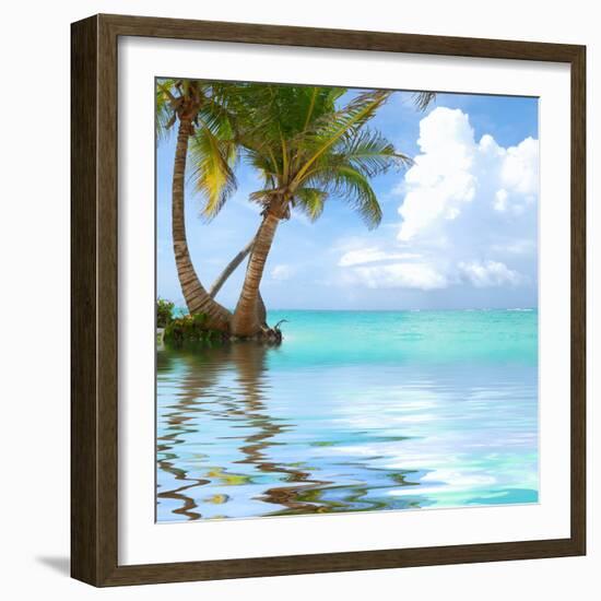 Beautiful Caribbean Beach in Dominican Republic. Reflection in Water.-haveseen-Framed Photographic Print