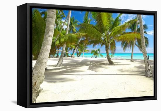 Beautiful Caribbean Beach in Dominican Republic-haveseen-Framed Premier Image Canvas