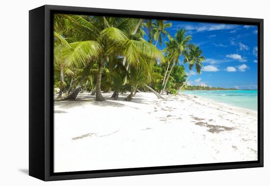 Beautiful Caribbean Beach in Dominican Republic-haveseen-Framed Premier Image Canvas