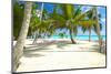 Beautiful Caribbean Beach in Dominican Republic-haveseen-Mounted Photographic Print