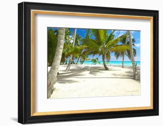 Beautiful Caribbean Beach in Dominican Republic-haveseen-Framed Photographic Print