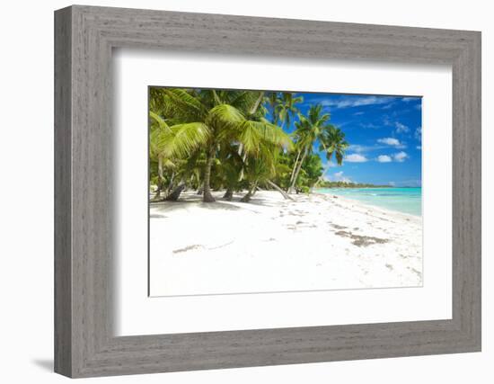 Beautiful Caribbean Beach in Dominican Republic-haveseen-Framed Photographic Print