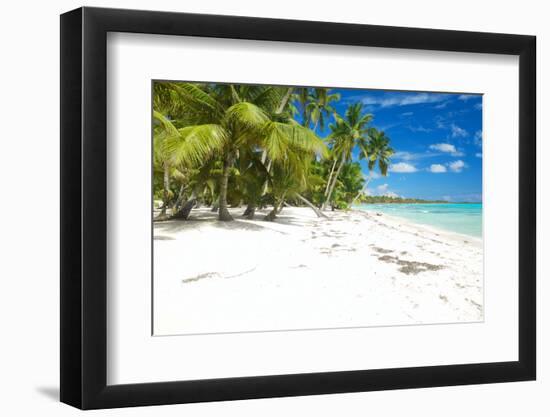 Beautiful Caribbean Beach in Dominican Republic-haveseen-Framed Photographic Print