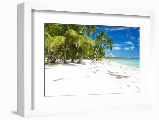 Beautiful Caribbean Beach in Dominican Republic-haveseen-Framed Photographic Print