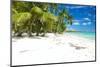 Beautiful Caribbean Beach in Dominican Republic-haveseen-Mounted Photographic Print