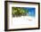 Beautiful Caribbean Beach in Dominican Republic-haveseen-Framed Photographic Print