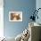 Beautiful Cats-Susan Adams-Framed Giclee Print displayed on a wall