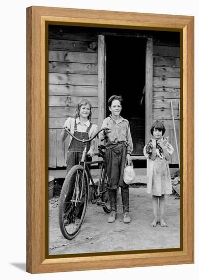 Beautiful Children with Bike and a Cat-Dorothea Lange-Framed Stretched Canvas