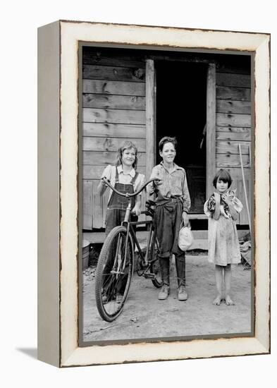 Beautiful Children with Bike and a Cat-Dorothea Lange-Framed Stretched Canvas